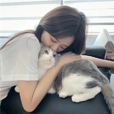 非来不可第三季